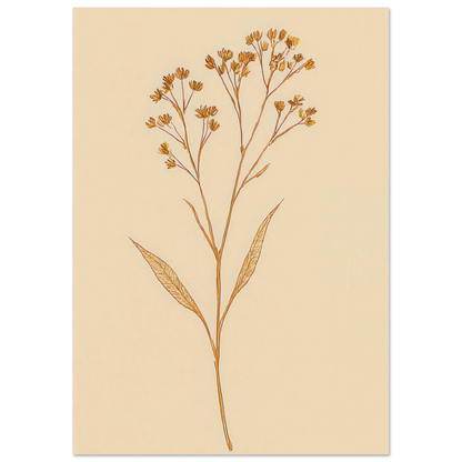 Frukter – Elegant Botanical Line Art Print on Premium Halvblankt Paper