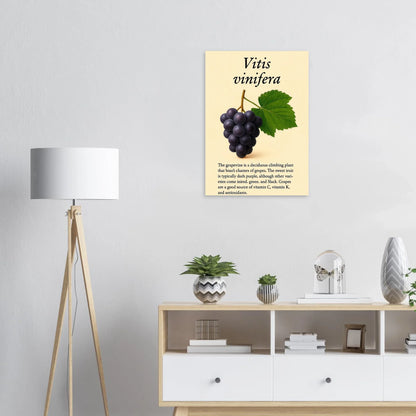Frukter Vitis Vinifera Poster - Botanisk Druvkonsttryck på Premium Halvblankt Papper