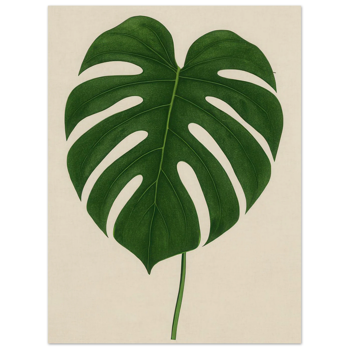 Monstera Elegans: Frukter Botanical Print - Naturens Skönhet för ditt Hem