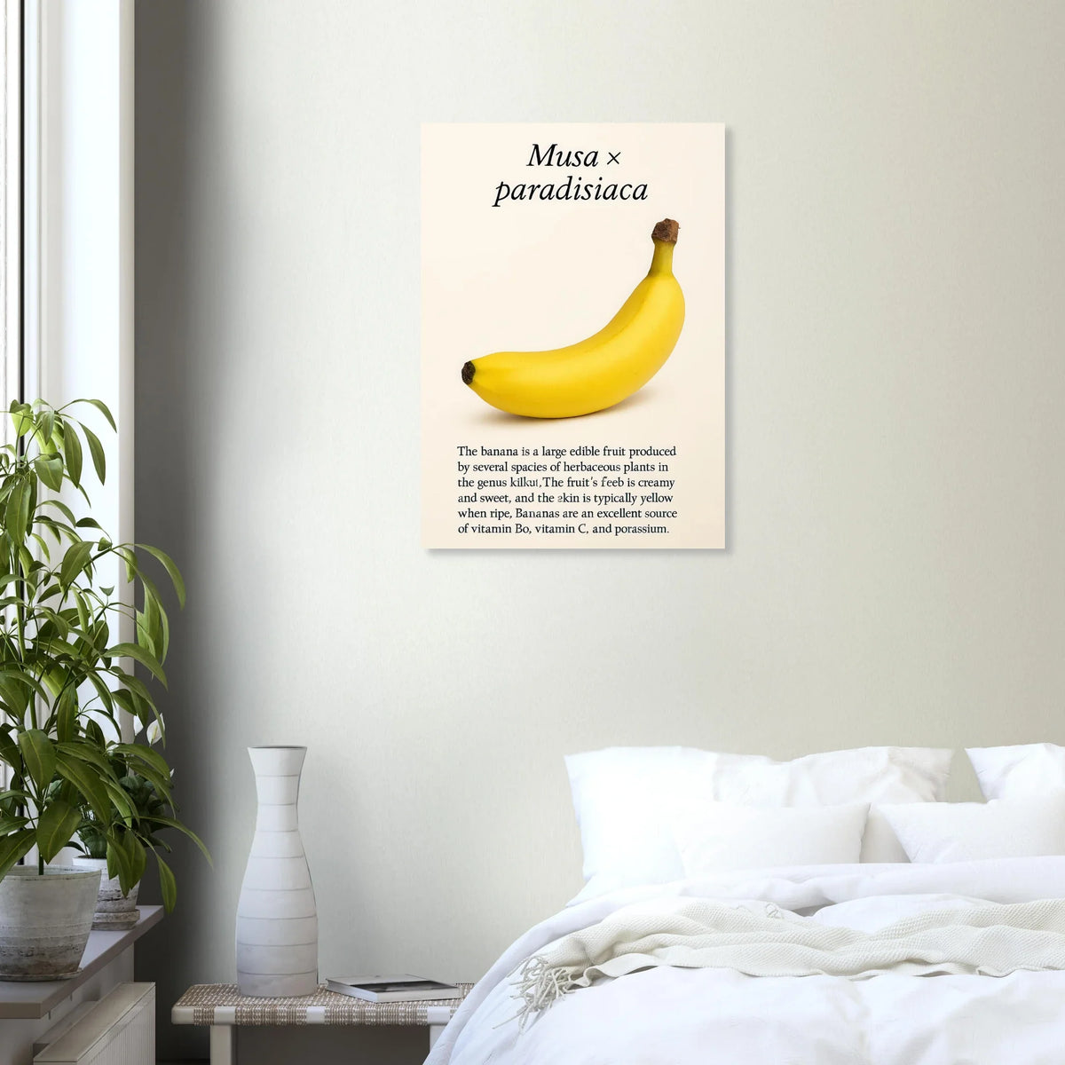Frukter – Banan Botanisk Poster: Gul Frukt Konsttryck på Halvblankt Papper, i Flera Storlekar