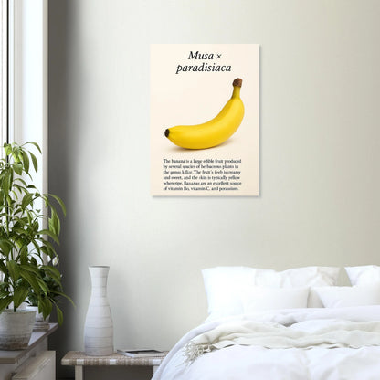 Frukter – Banan Botanisk Poster: Gul Frukt Konsttryck på Halvblankt Papper, i Flera Storlekar