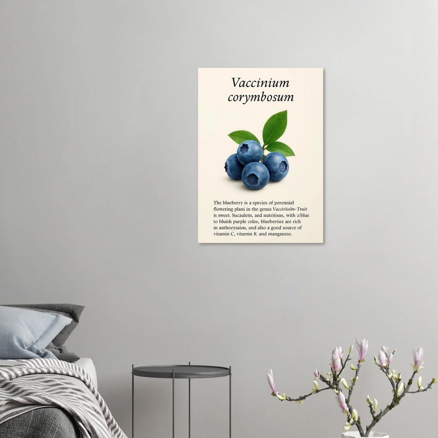 Frukter Botanisk Poster: Vaccinium Corymbosum (Blåbär) Konsttryck med levande blå nyanser och din valda storlek