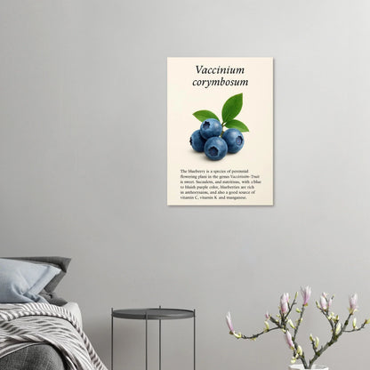 Frukter Botanisk Poster: Vaccinium Corymbosum (Blåbär) Konsttryck med levande blå nyanser och din valda storlek