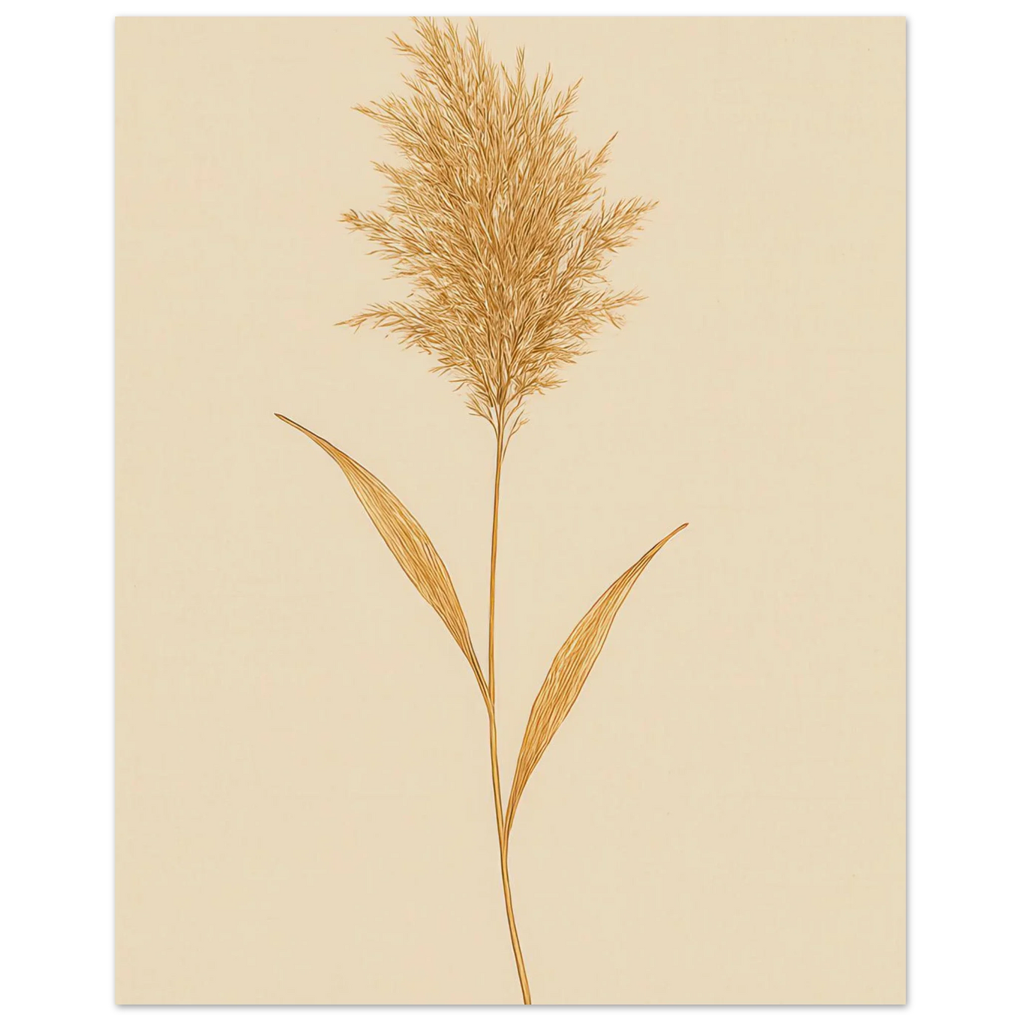 Frukter – Elegant Pampasgräs Botanisk Affisch i Jordnära Toner, Premium Halvblankt Papper