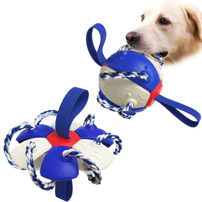 Frisbeeboll - Hundleksak