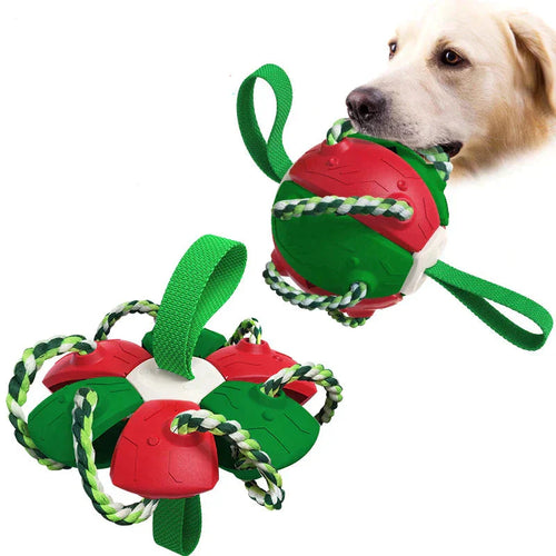 Frisbeeboll - Hundleksak