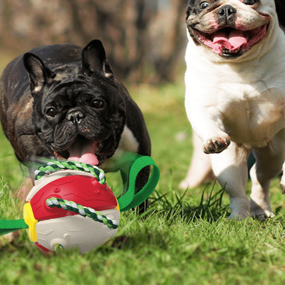 Frisbeeboll - Hundleksak