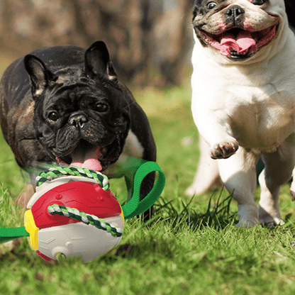 Frisbeeboll - Hundleksak