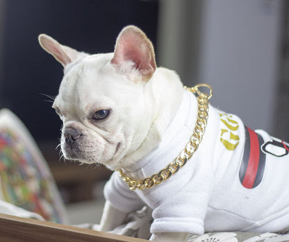 Guldkedja till hund