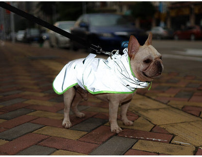 Heltäckande Reflextäckte till Hund