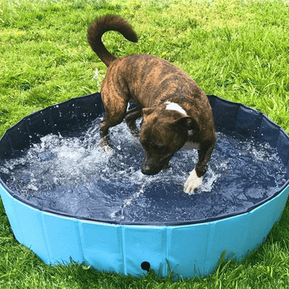 Hundpoolen Vikbar Pop-up pool