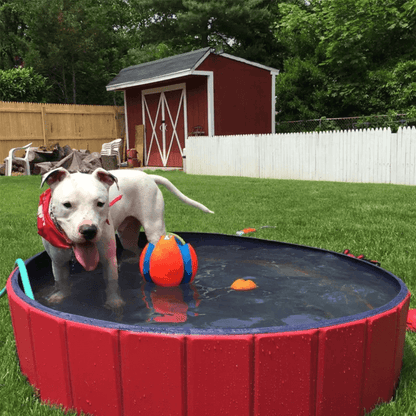 Hundpoolen Vikbar Pop-up pool