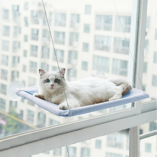Kattfönstersängen