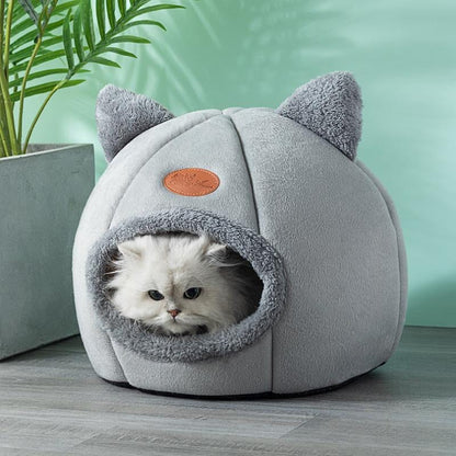 Kattigloo