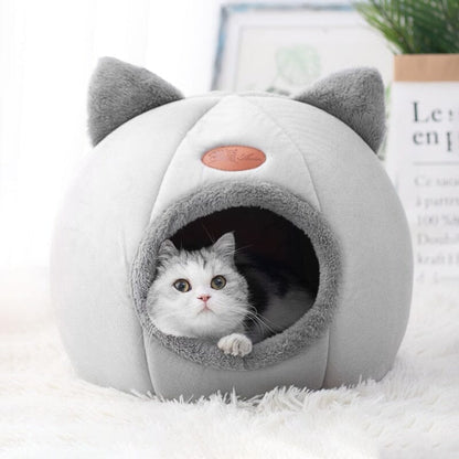 Kattigloo