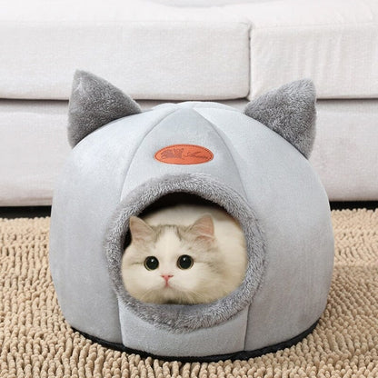 Kattigloo