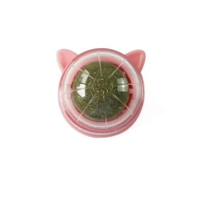 Kattmyntaboll