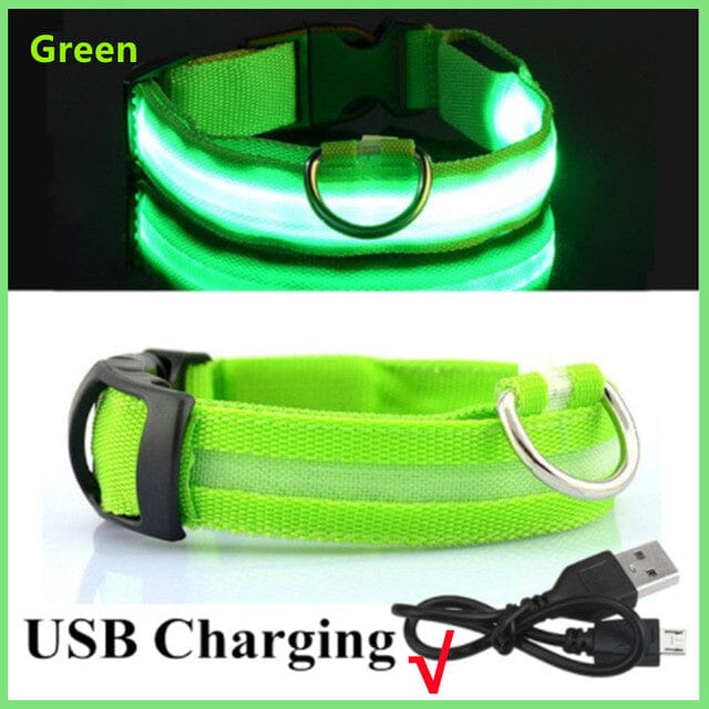 LED Hundhalsband