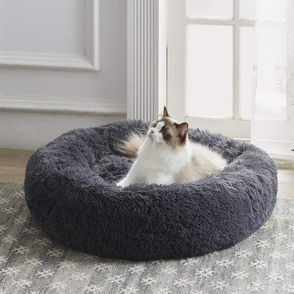 Lugnande kattsäng
