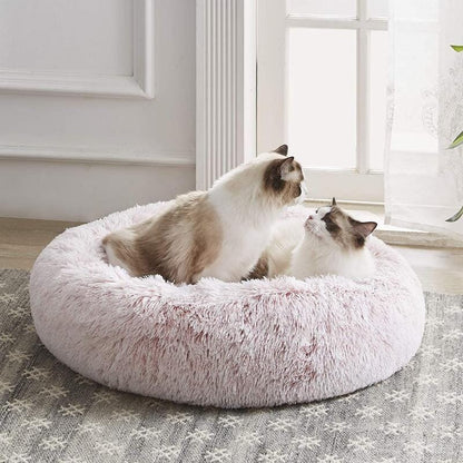 Lugnande kattsäng