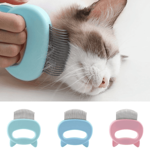 Massagekam för katter