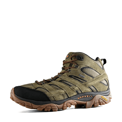 Moab 2 Leather Mid Gore-tex Olive