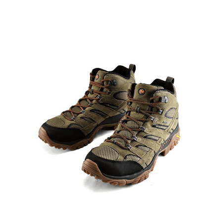 Moab 2 Leather Mid Gore-tex Olive