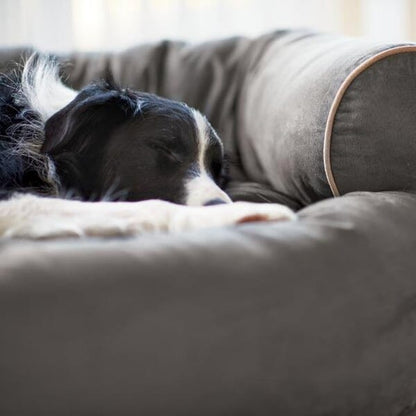 Soffa Hundbädd – Stilren & Mjuk Hundsoffa