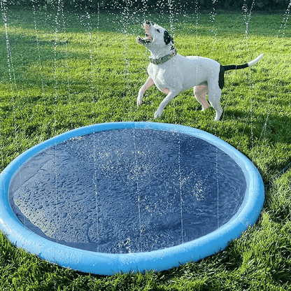 Splashpoolen - Pool med fontän