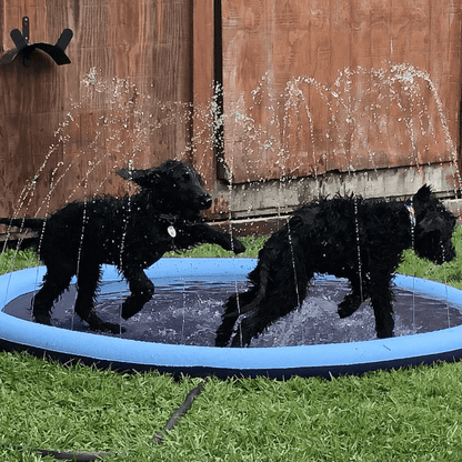 Splashpoolen - Pool med fontän