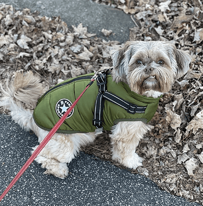 Hundjacka med inbyggd sele – varm med reflex