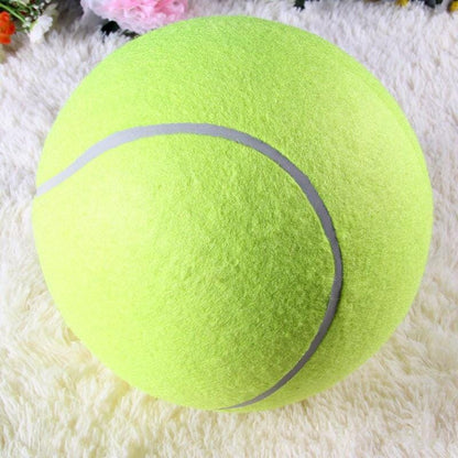 XXL Tennisboll för hund